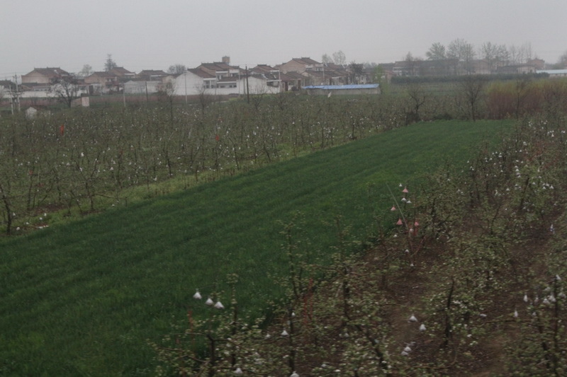 IMG_0788_調整大小.JPG IMG_0788_調整大小.JPG
