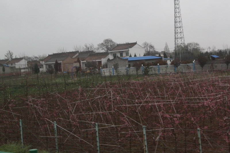 IMG_0793_調整大小.JPG IMG_0793_調整大小.JPG