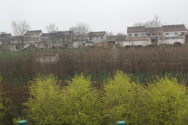 IMG_0794_調整大小.JPG IMG_0794_調整大小.JPG
