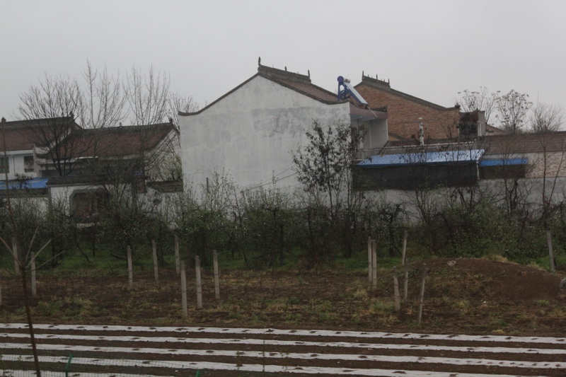 IMG_0796_調整大小.JPG IMG_0796_調整大小.JPG