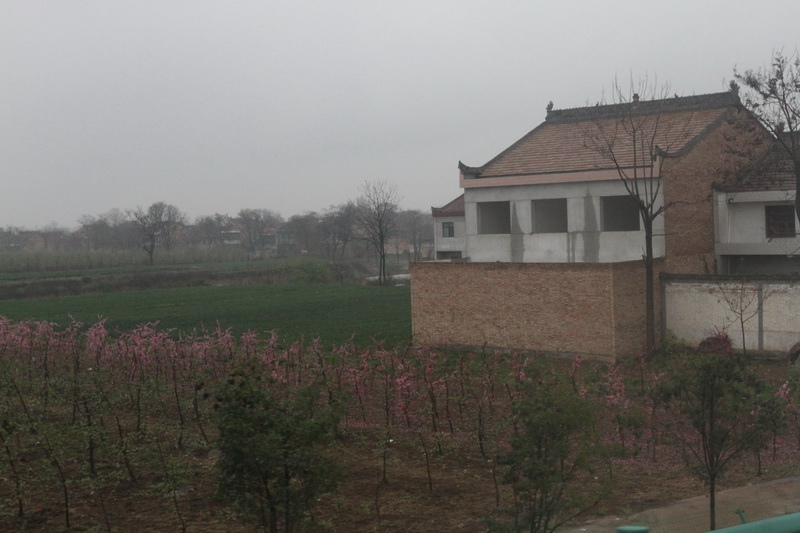 IMG_0798_調整大小.JPG IMG_0798_調整大小.JPG