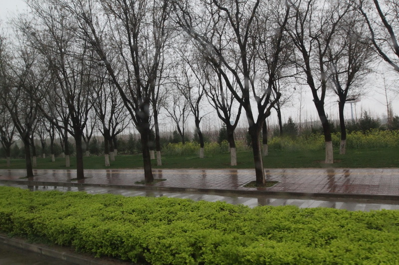 IMG_0800_調整大小.JPG IMG_0800_調整大小.JPG