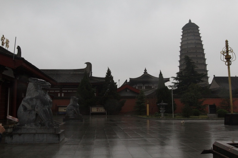 IMG_0880_調整大小.JPG IMG_0880_調整大小.JPG