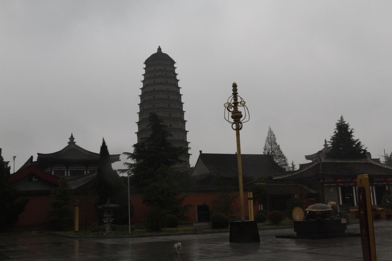 IMG_0881_調整大小.JPG IMG_0881_調整大小.JPG