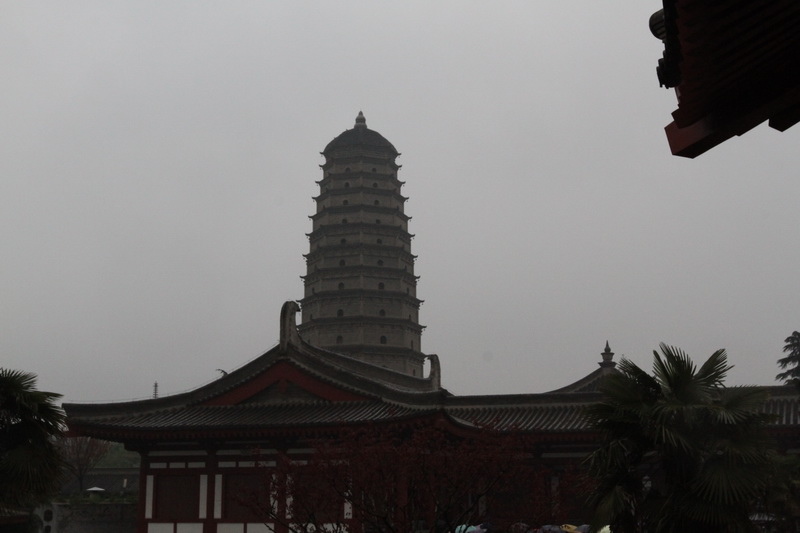 IMG_0892_調整大小.JPG IMG_0892_調整大小.JPG