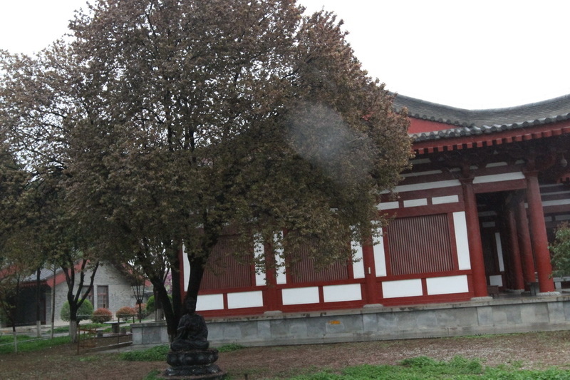IMG_0942_調整大小.JPG IMG_0942_調整大小.JPG