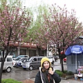 IMG_0485_調整大小.JPG