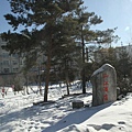 IMG_1235_調整大小.JPG