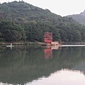 IMG_0310_調整大小.JPG