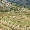 IMG_3848_調整大小.JPG