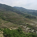 IMG_3836_調整大小.JPG