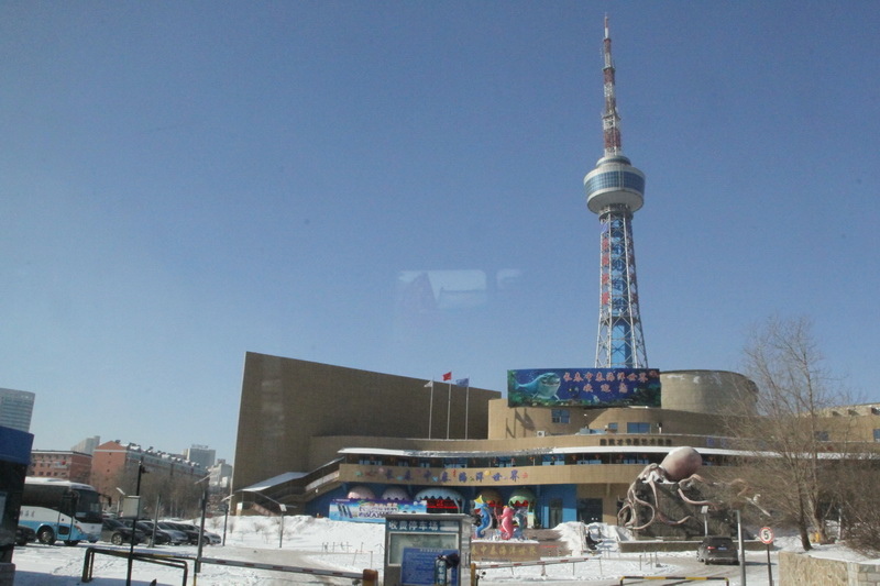 IMG_2075_調整大小.JPG