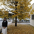 _MG_1603_调整大小.JPG