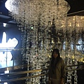 IMG_6666_调整大小.JPG