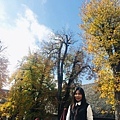 IMG_7391(1)_调整大小.jpg