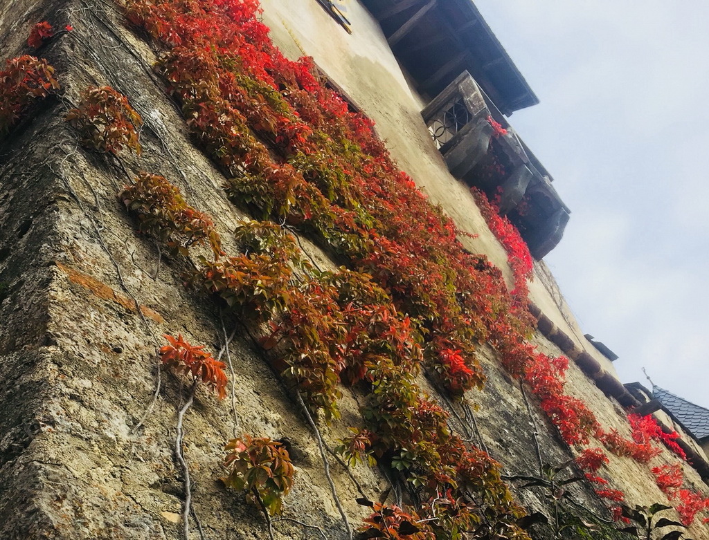 S__13385737_调整大小.jpg S__13385737_调整大小.jpg