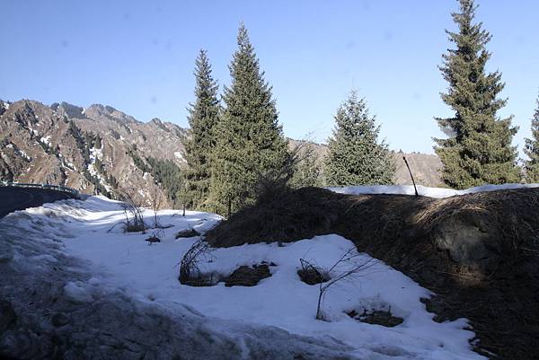 IMG_0463_調整大小