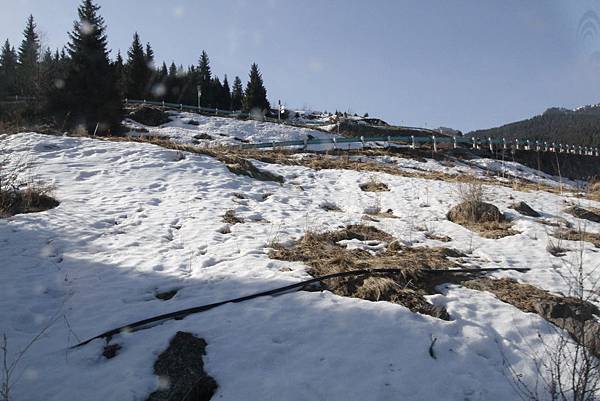 IMG_0445_調整大小