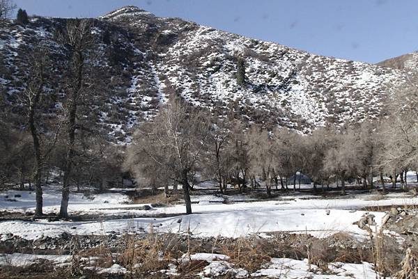 IMG_0375_調整大小