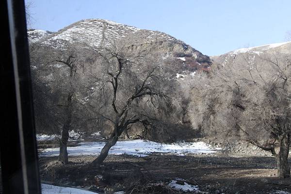 IMG_0303_調整大小