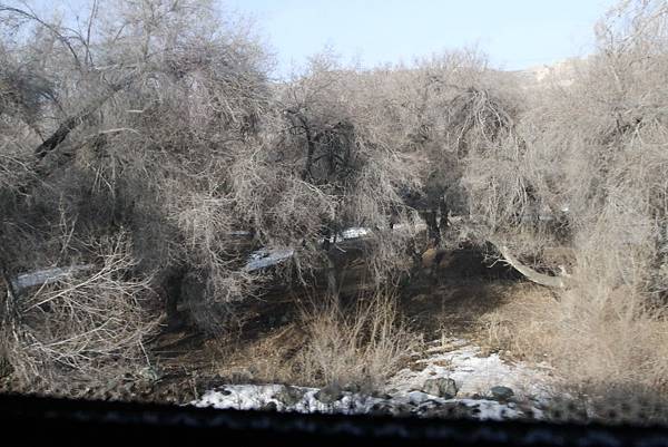 IMG_0285_調整大小