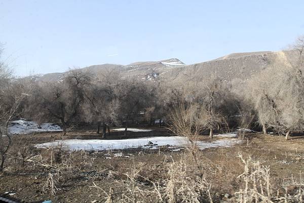 IMG_0289_調整大小