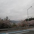 _MG_0782_調整大小.JPG