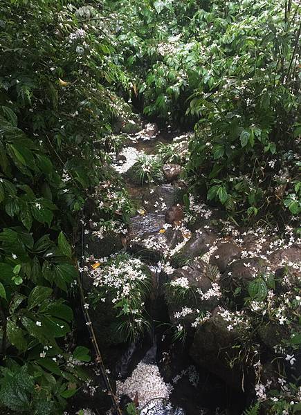 iPhone 6 Plus62616_調整大小.JPG