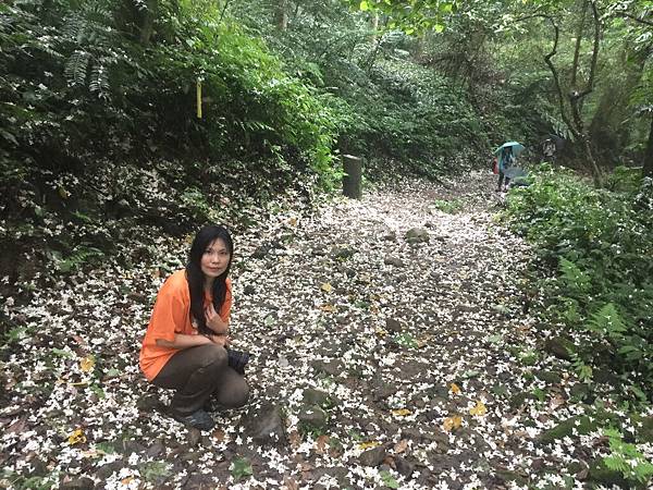 iPhone 6 Plus62608_調整大小.JPG