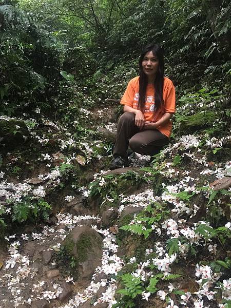 iPhone 6 Plus62570_調整大小.JPG