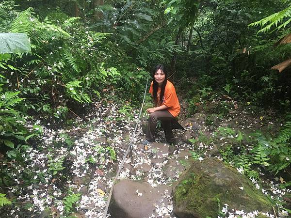 iPhone 6 Plus62563_調整大小.JPG