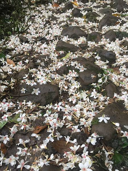 iPhone 6 Plus62528_調整大小.JPG