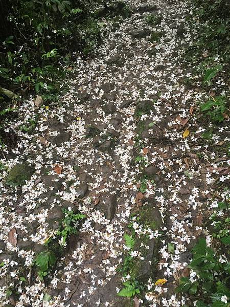 iPhone 6 Plus62521_調整大小.JPG