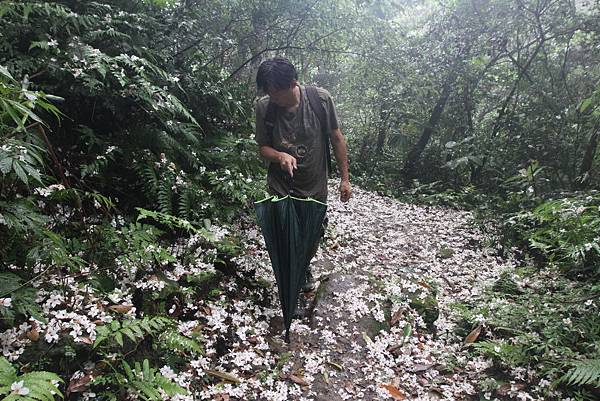 Canon EOS 7D38566_調整大小.JPG