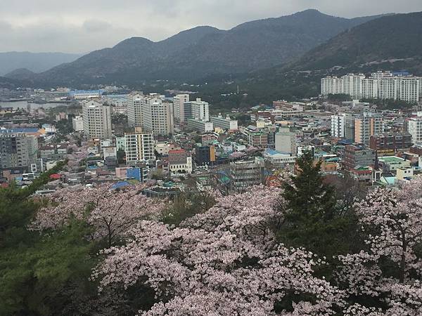 IMG_4566_調整大小