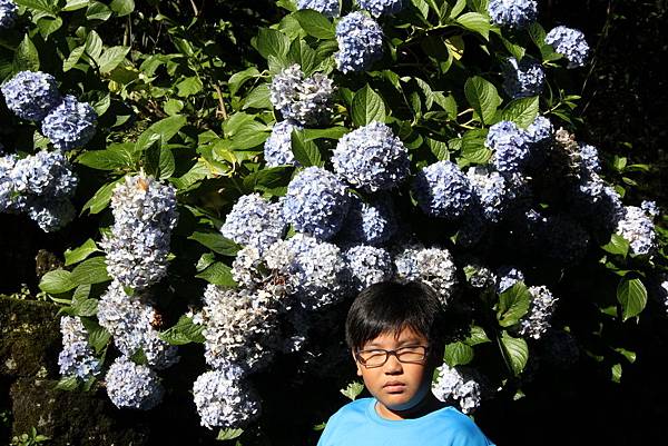 Canon EOS 7D71199_調整大小.JPG