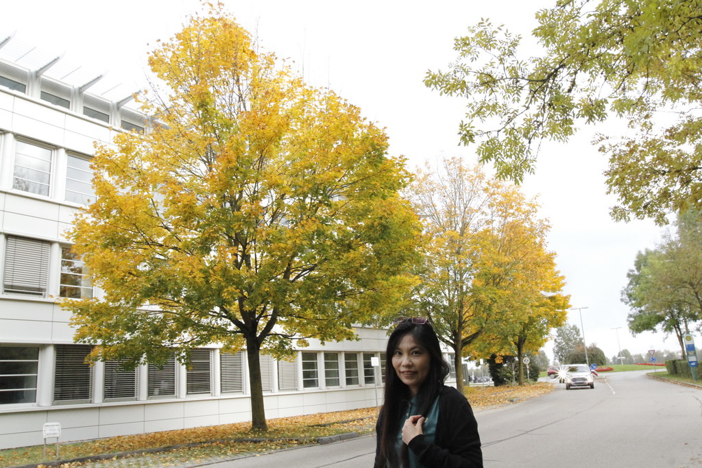 _MG_0014_調整大小.JPG _MG_0014_調整大小.JPG