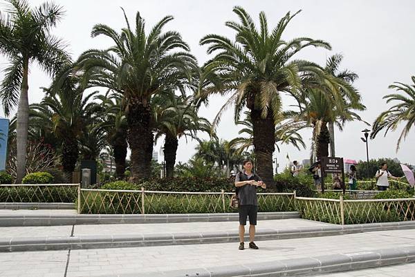 _MG_0452_調整大小