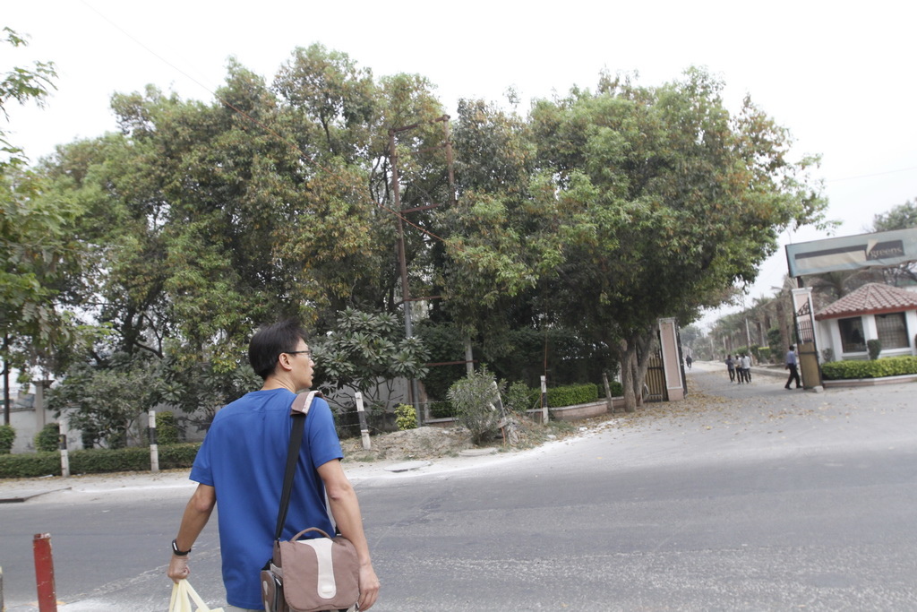 _MG_0724_調整大小.JPG _MG_0724_調整大小.JPG