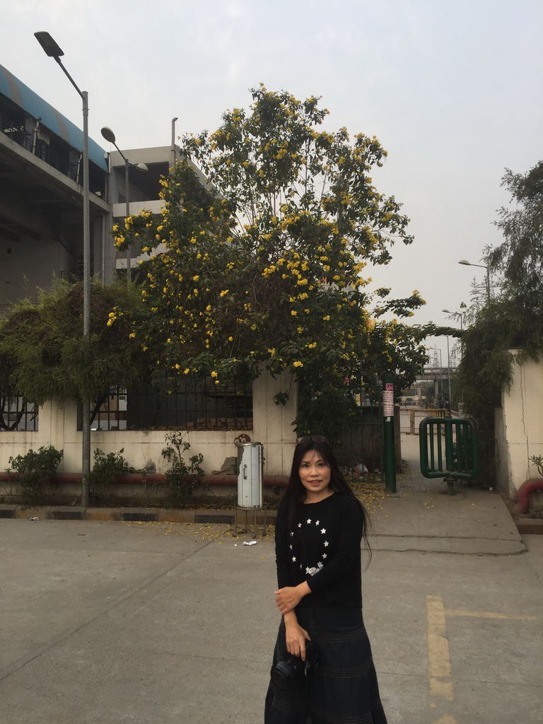 IMG_2896_調整大小.JPG IMG_2896_調整大小.JPG