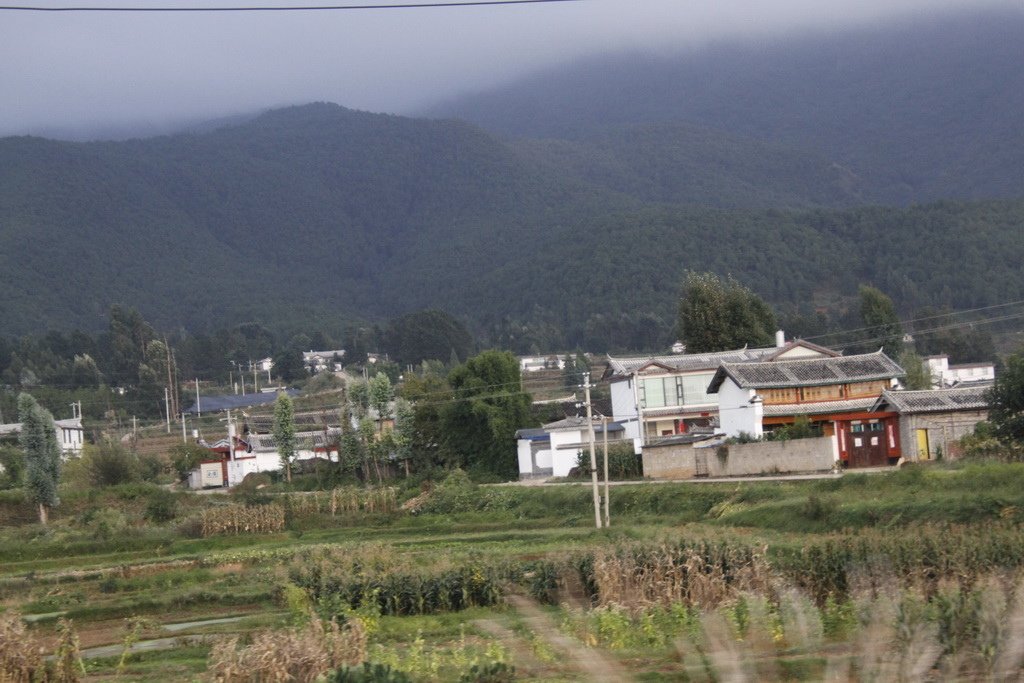 _MG_0092_調整大小.JPG _MG_0092_調整大小.JPG