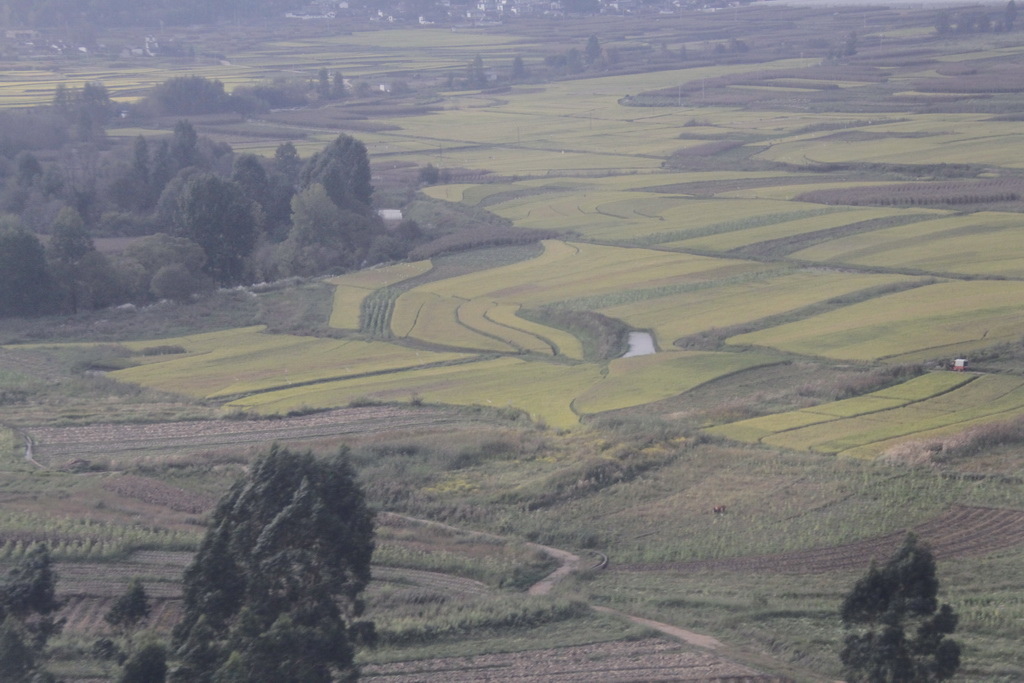 _MG_0054_調整大小.JPG _MG_0054_調整大小.JPG