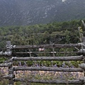 _MG_2252_调整大小.JPG