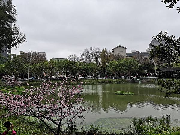 IMG_20190228_101428_调整大小.jpg