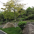 IMG_20190325_103549_调整大小.jpg