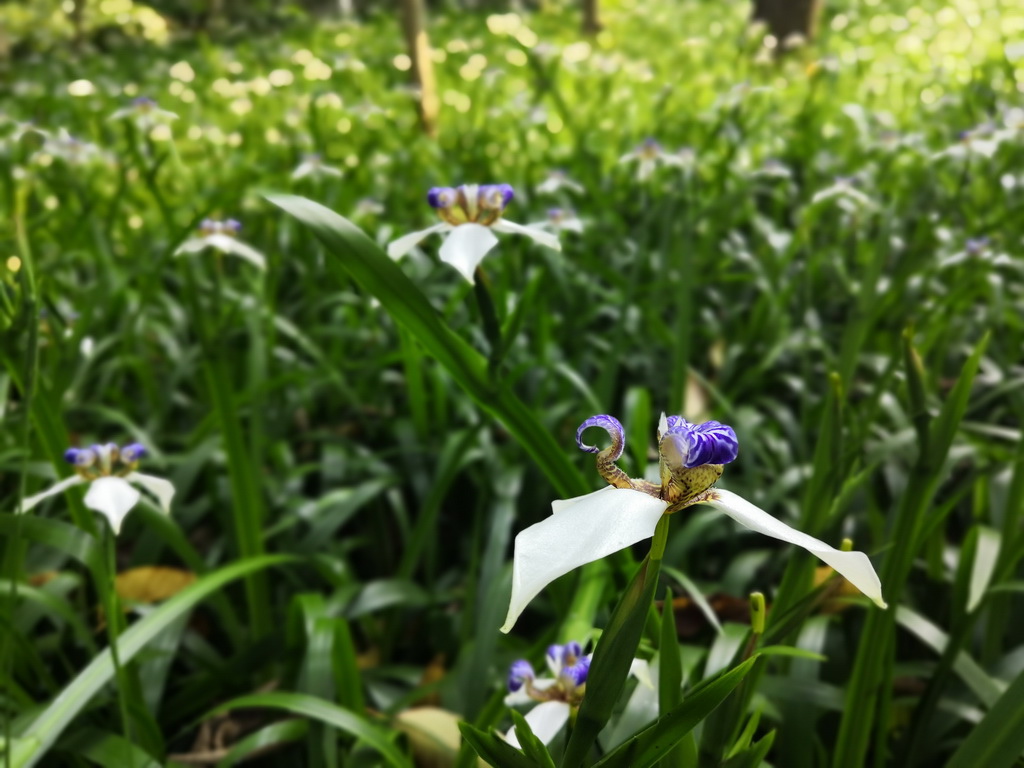 IMG_20190330_143658_调整大小.jpg IMG_20190330_143658_调整大小.jpg