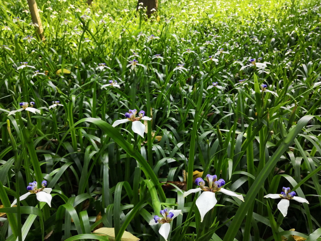 IMG_20190330_143714_调整大小.jpg IMG_20190330_143714_调整大小.jpg