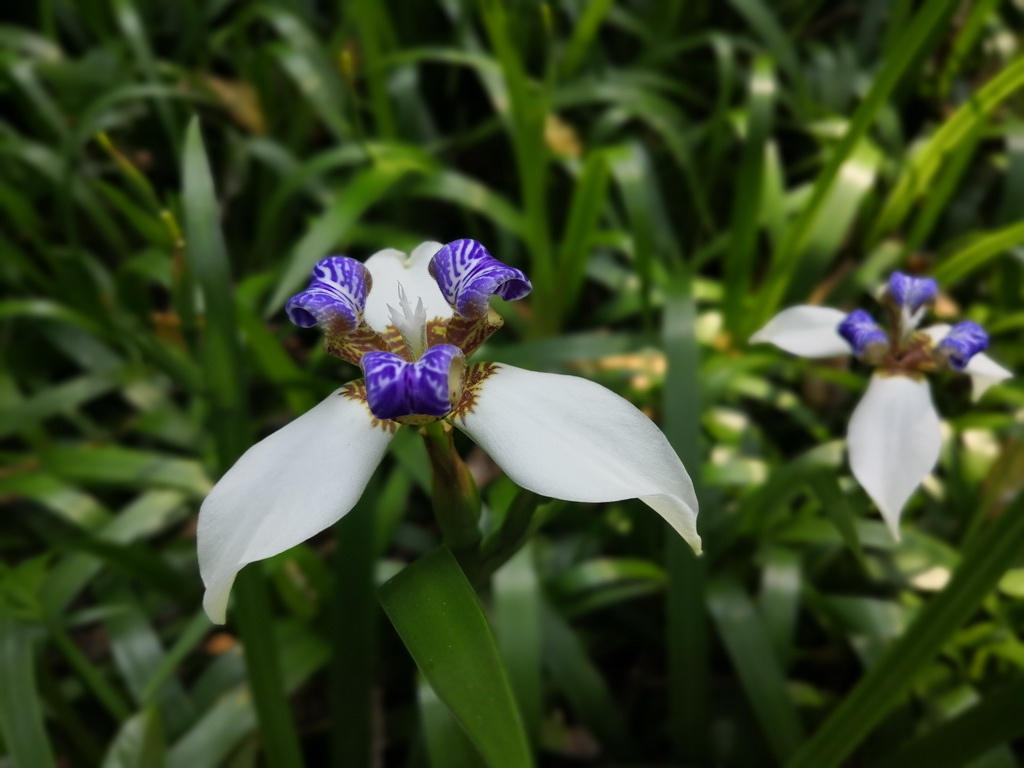 IMG_20190330_143626_调整大小.jpg IMG_20190330_143626_调整大小.jpg