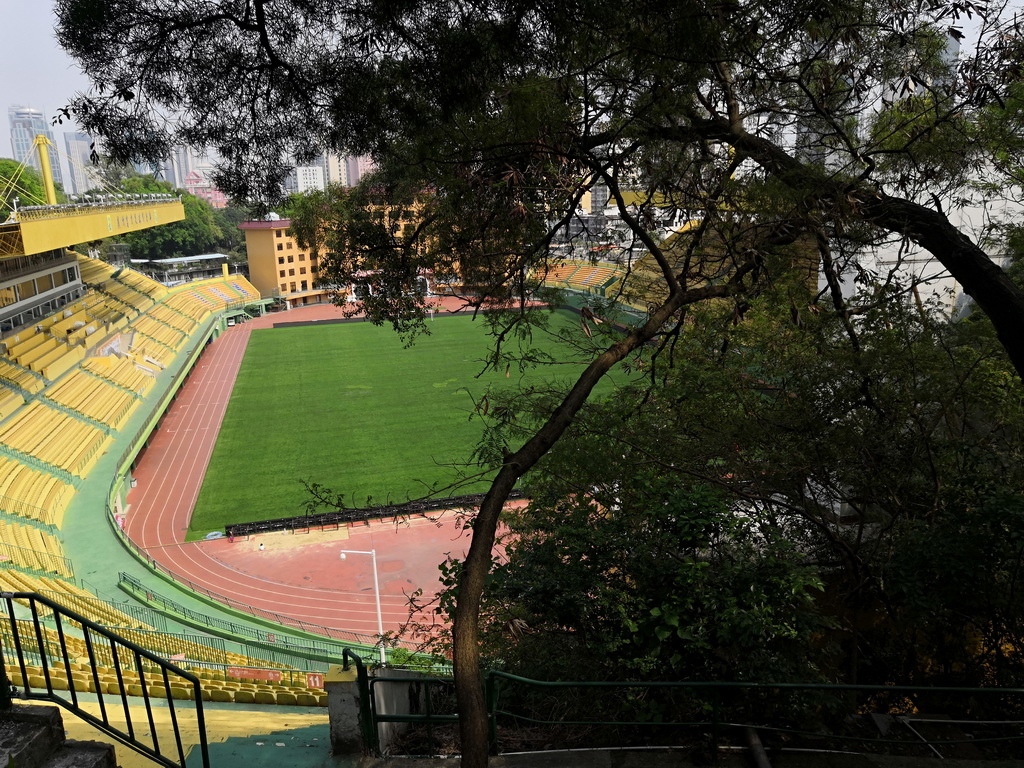 IMG_20190330_142739_调整大小.jpg IMG_20190330_142739_调整大小.jpg