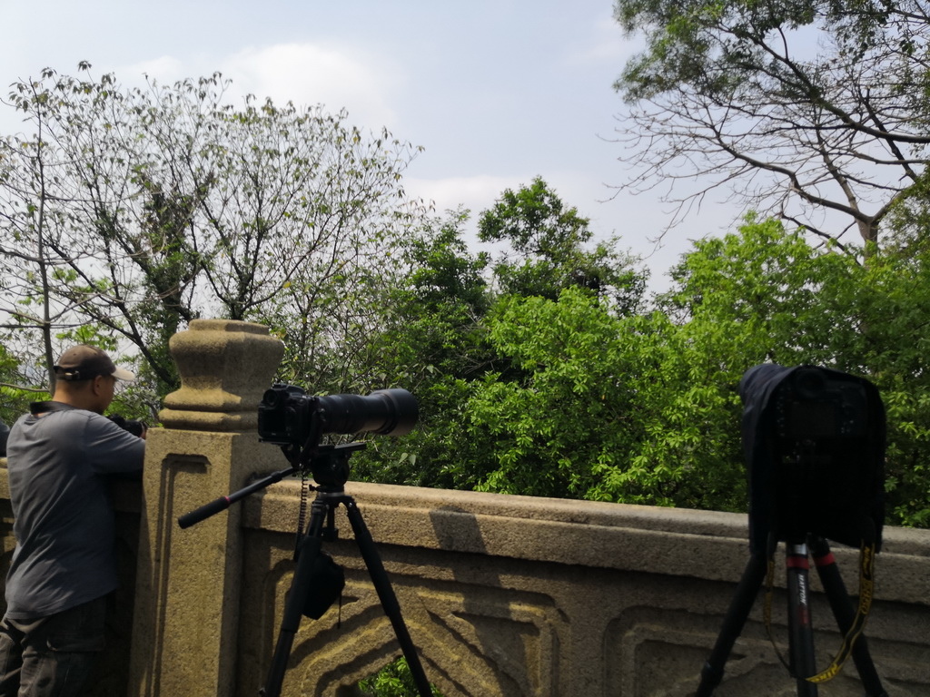 IMG_20190330_140630_调整大小.jpg IMG_20190330_140630_调整大小.jpg